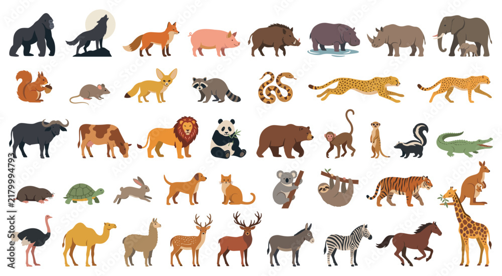 Obraz premium Wild and domestic animals big flat collection.