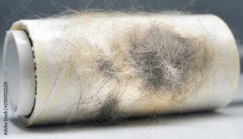 Extreme close-up of cat fur accumulated on a lint roller, individual hairs clearly visible across the sticky surface.