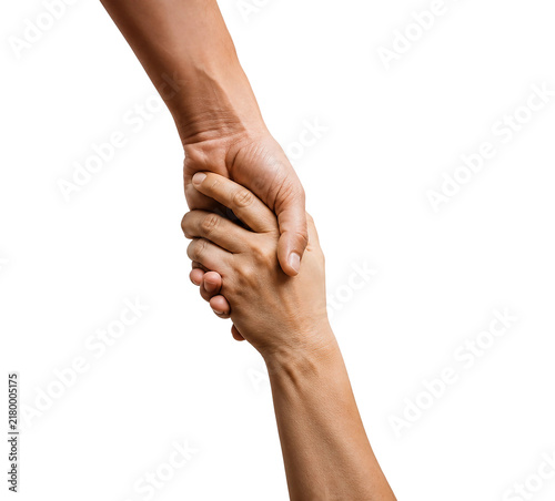 Helping Hands | Support, Assistance & Human Connection Concept PNG