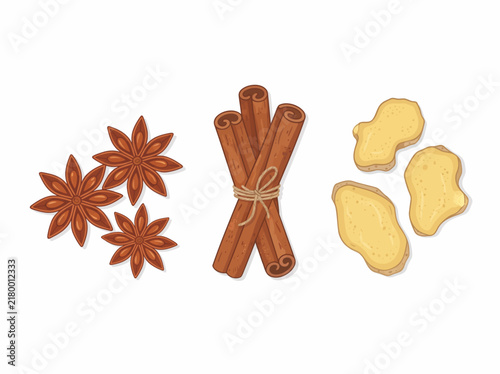 Flat vector illustration of star anise, cinnamon sticks, and sliced ginger root spices
