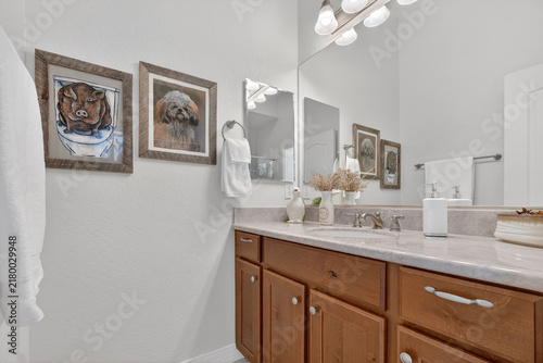 Bathroom vanity with cabinets and marble countertop, framed dog artwork, towels in mirror reflection