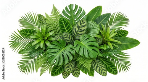 Botanical collection features assorted tropical plants and ornamental greenery grouped as a dense cluster.