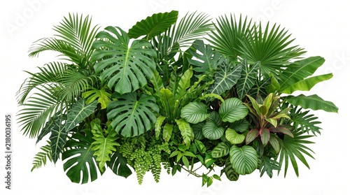 Jungle foliage display showcases a variety of broad tropical leaves and dense fern greenery together.