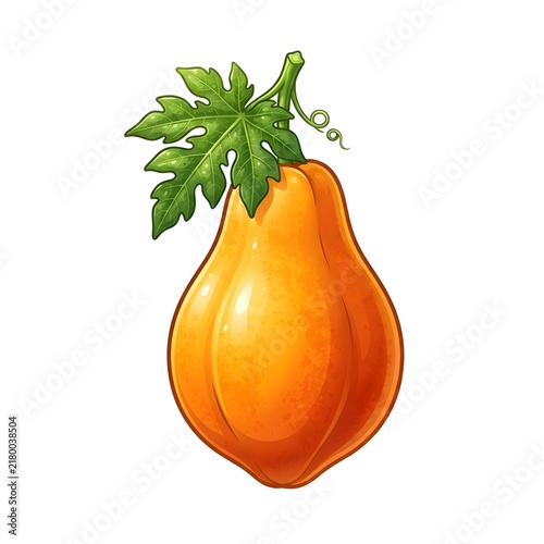 Bright Orange Squash with Green Leaf