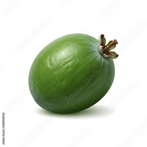 Green Fruit with Stem Isolated on White Background