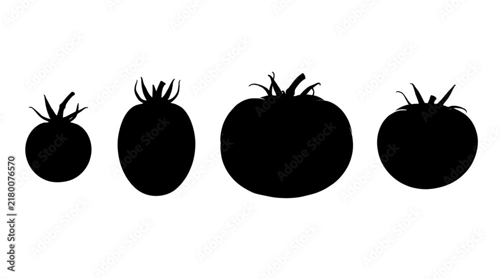 Obraz premium tomato realistic black shadow silhouette isolate vector set