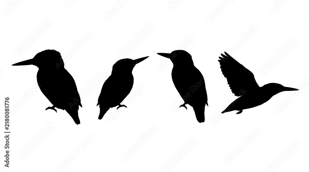 Obraz premium kingfisher realistic black shadow silhouette isolate vector set