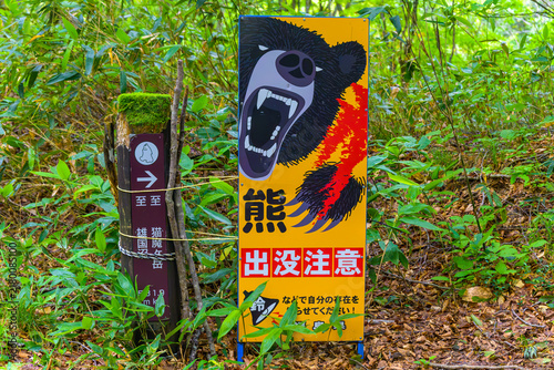 Obraz na plátně クマ出没注意の看板