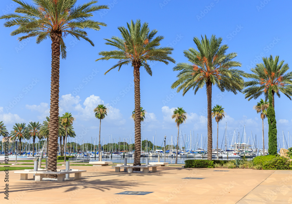 Obraz premium Bay with yachts in St. Petersburg, Florida, USA