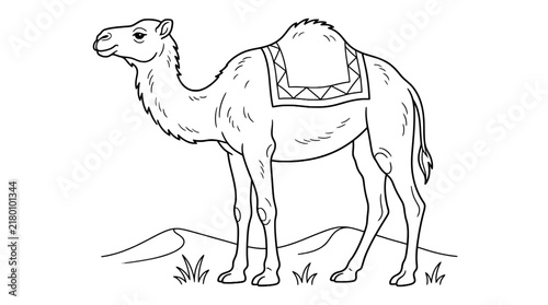 Bild auf Leinwand Camel standing in desert line art for coloring