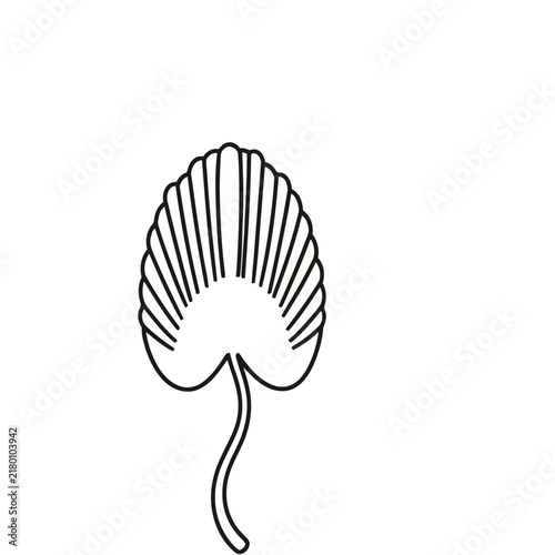 Stylized Shell Outline
