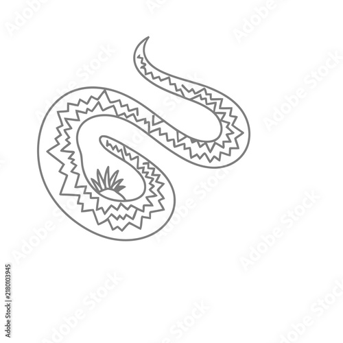 Stylized Snake Illustration