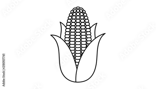 Ear of corn sketch in black and white outline, vector agricultural illustration of sweetcorn isolated on white.