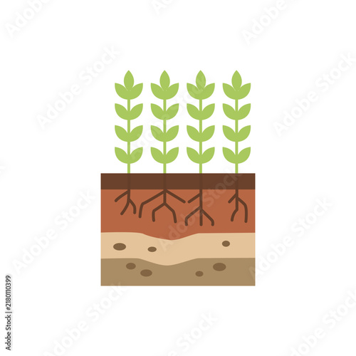 Green plants growing from soil layers with visible root systems