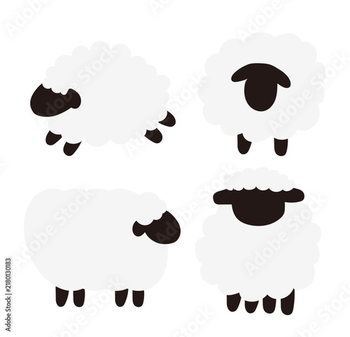 sheep-1