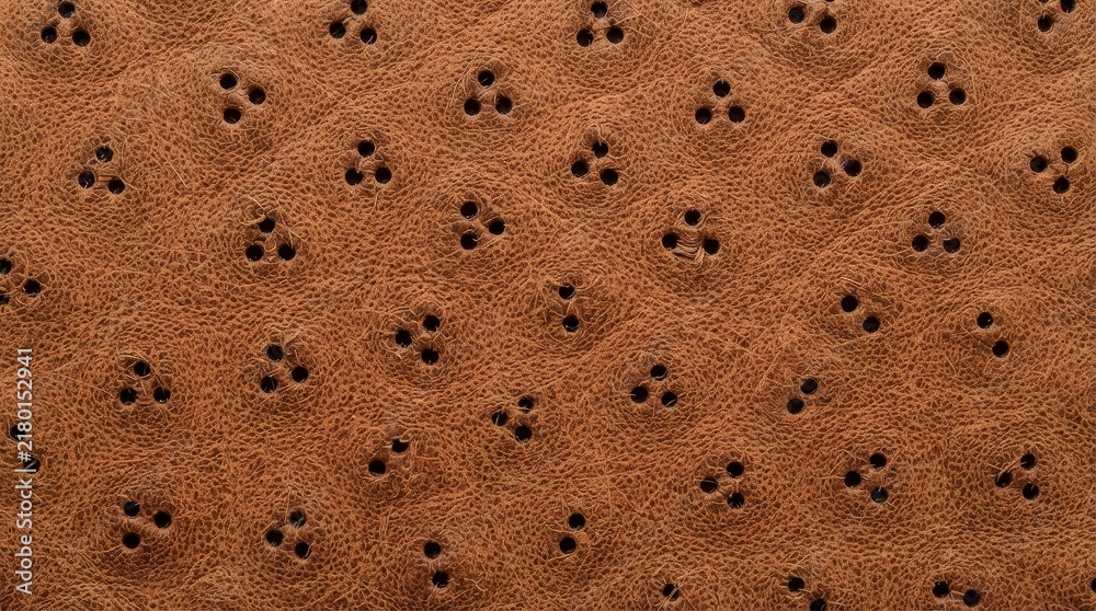Obraz premium Brown perforated leather material texture