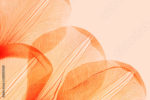 Obraz na plátne Abstract of flower petals, orange color leaves of natural texture as botanical design background