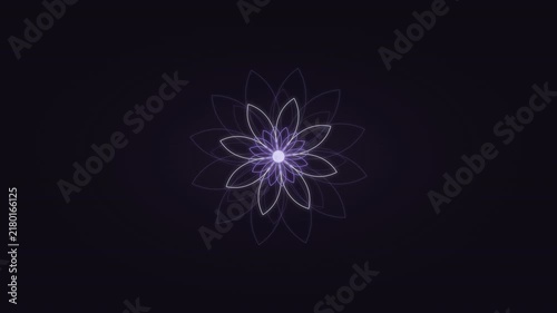 Calm Lavender Premium Zen Lotus Mandala Background - 4K Seamless Loop