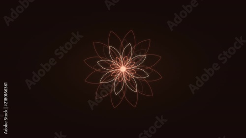 Peaceful Peach Premium Zen Lotus Mandala Background - 4K Seamless Loop
