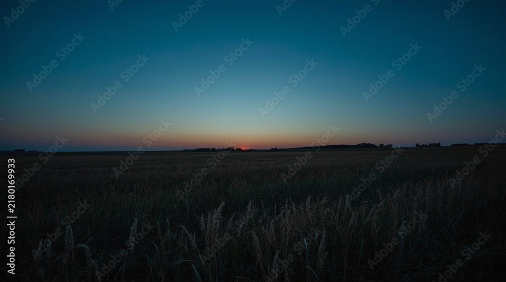 Obraz premium Minimal Veterans Day landscape featuring quiet field at twilight