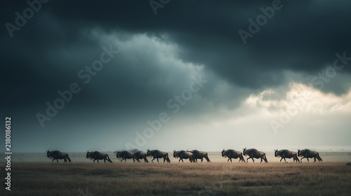 herd of wildebeest evagulation crossing in desert 