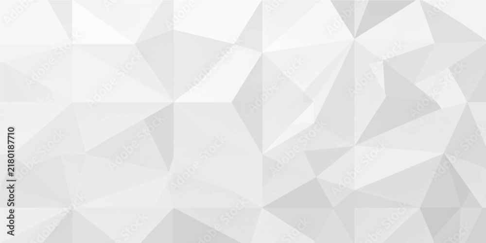 Fototapeta premium abstract light grey white low poly geometric background vector 3d minimalist polygonal triangle paper mesh