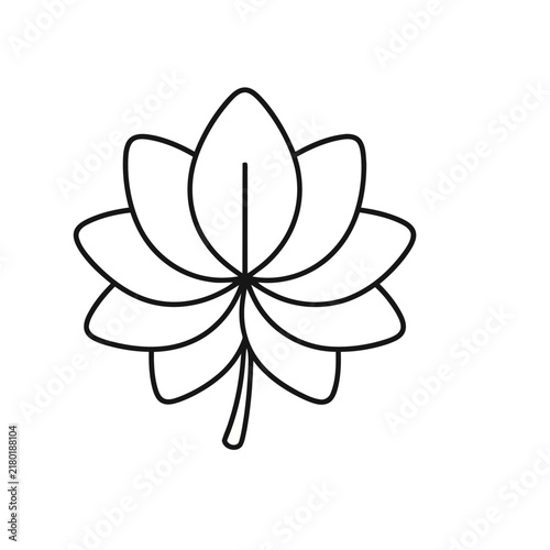 Lotus flower outline