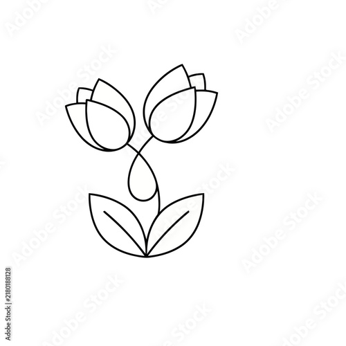 Simple line art of two tulips and leaves