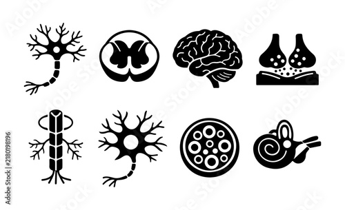 Human anatomy and biology micro cell silhouette icon set featuring DNA neuron bone and blood elements