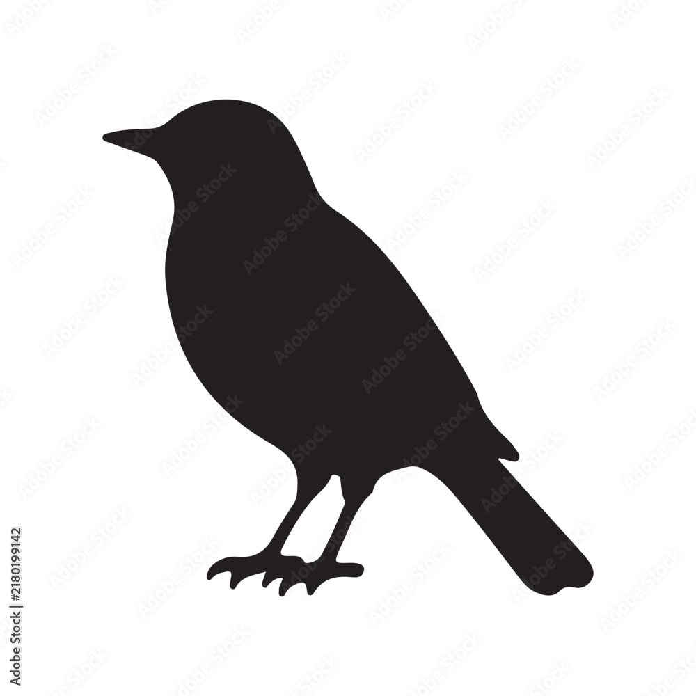 Fototapeta premium Black silhouette of a Nightingale vector illustration