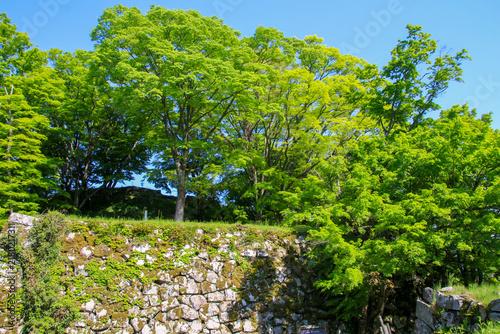 津和野城跡