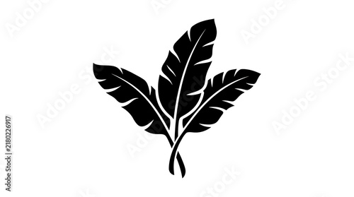Black tobacco leaf vector illustration