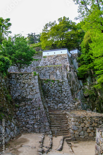 備中松山城