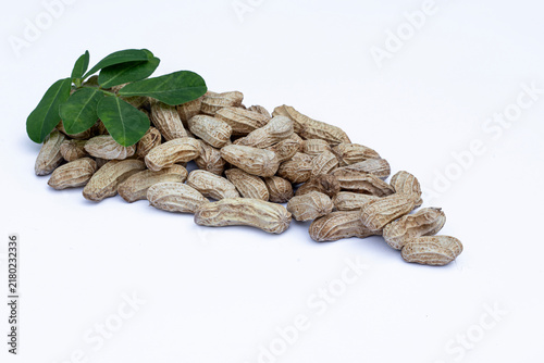 Obraz na płótnie Peanut Plant (Arachis Hypogaea) with Raw Peanuts in Shell Isolated on White Background, Agriculture Concept