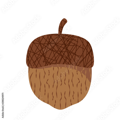 Cute autumn brown acorn nut illustration isolated on white background