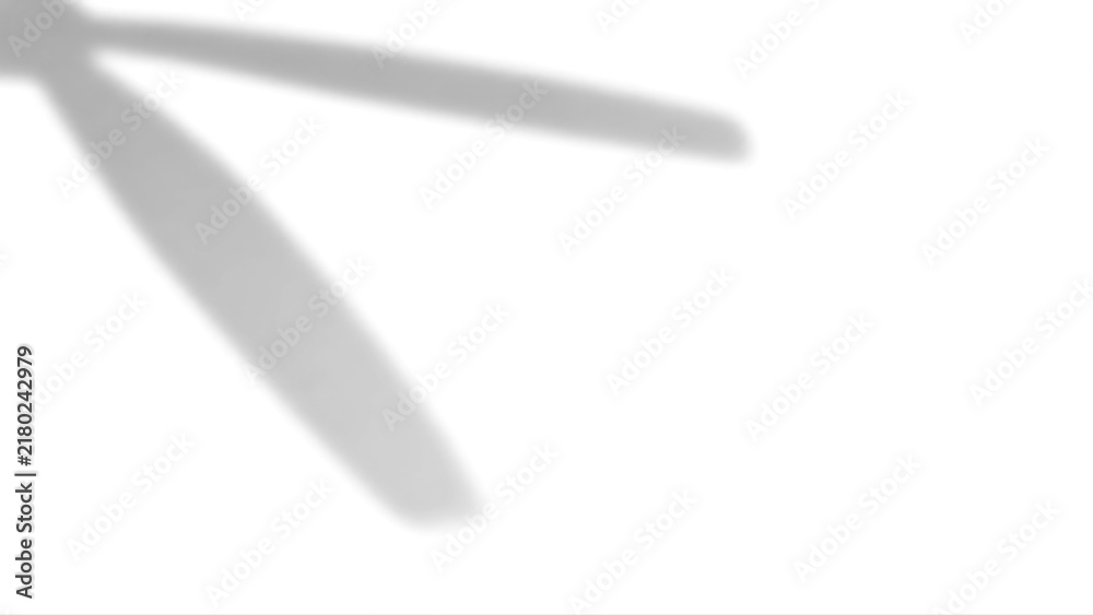 Fototapeta premium Shadow Overlay of Crossing Leaves on Transparent Background