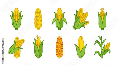Corn cobs collection featuring various yellow ears with green husks arranged in a grid pattern on white background.