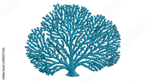 Textured blue coral branch with intricate branching patterns, isolated on transparent background