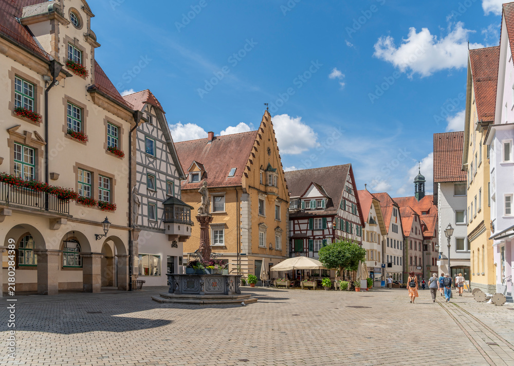 Fototapeta premium Sigmaringen in southern Germany