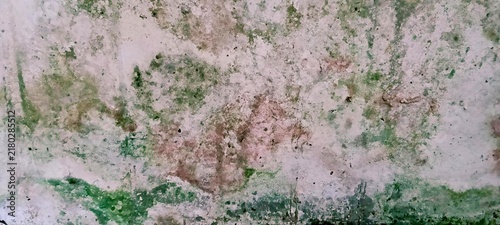 Quadro su tela Weathered Old Concrete Wall with Moss and Natural Grunge Texture