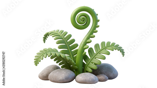 Obraz na płótnie Green fern frond unfurling with smooth grey stones, isolated on transparent back