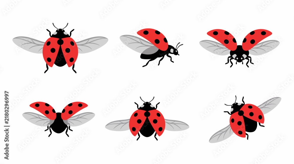 Fototapeta premium A collection of six cartoon ladybugs in various flight and resting poses, showcasing their red and black spotted shells and delicate wings.