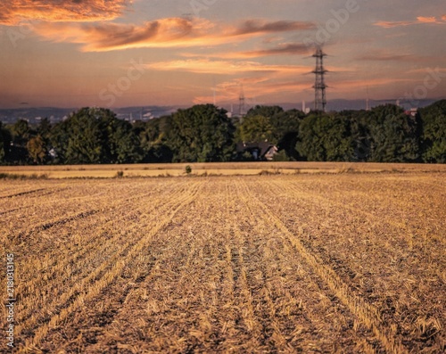 A non-urban photograph capturing a beautiful evening atmosphere over a field and a fenced pasture.
