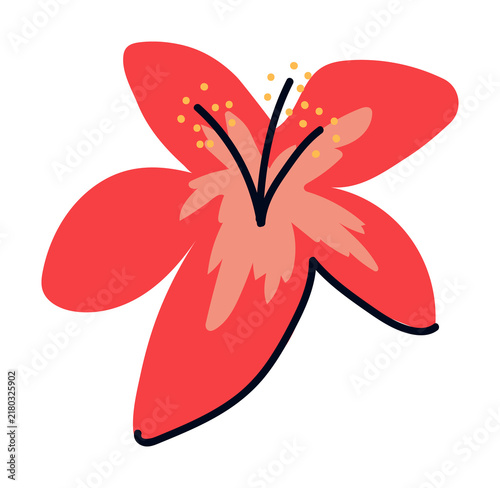 Red hibiscus flower illustration