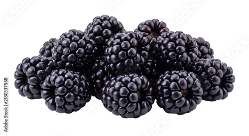 Fotografía Group of fresh ripe blackberries transparent background