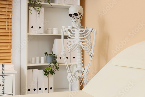 Human skeleton model near shelf unit in modern medical office