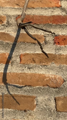 Dangerous Frayed Electrical Cable Over Textured Brick Wall