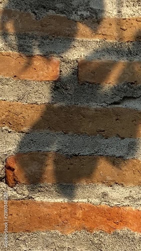 Close up of rustic brick wall under dappled sunlight
