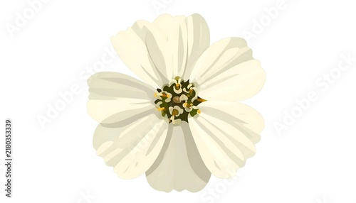 Delicate white daisy flower with black center close up.