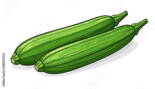Fresh green zucchini squash on white background.